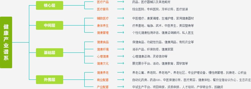 健康咨询：连接你我之间的桥梁
