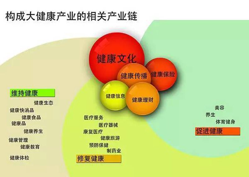 健康管理新趋势：健康咨询在日常生活中的应用