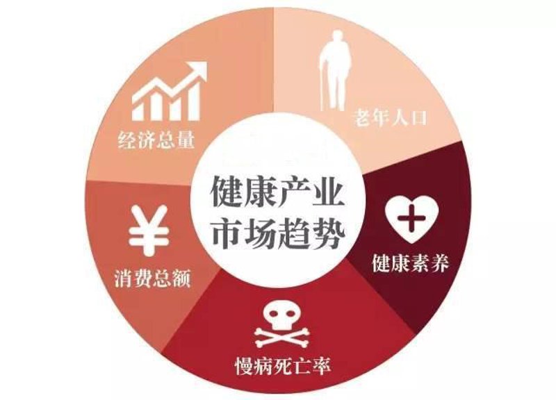 健康咨询：信息海洋中的一盏明灯
